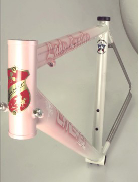 Pretty in pink - or any colour you choose!